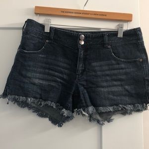 EXPRESS shorts
